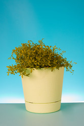 Similar image 1199762