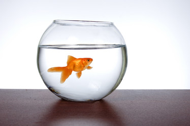 Similar image 1199769