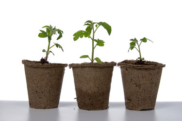 Similar image 1199770