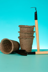 Similar image 1199781