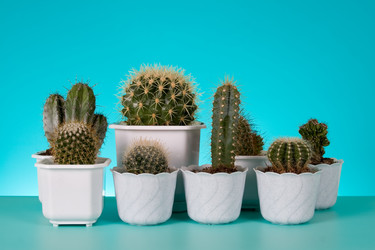 Similar image 1199788