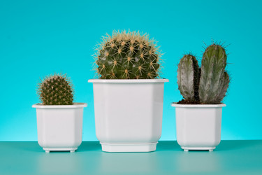 Similar image 1199789