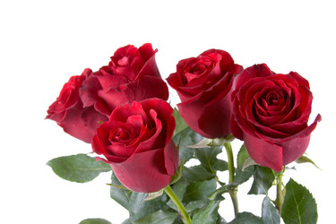 Similar image 1199813