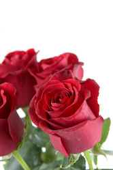 Similar image 1199814