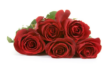 Similar image 1199820