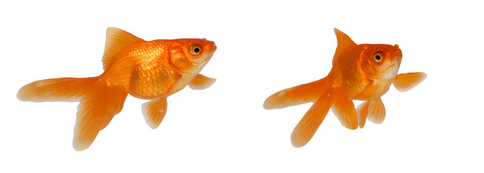 Similar image 1199826