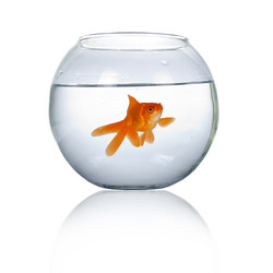 Similar image 1199827