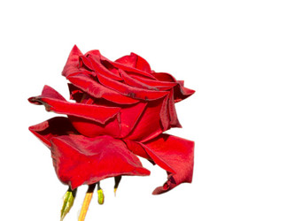 Similar image 1199847