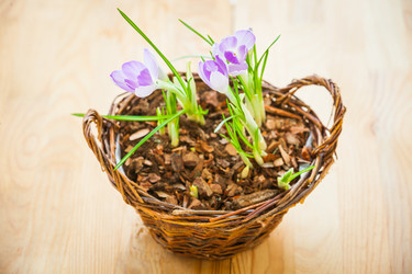 Similar image 1200010