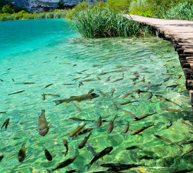 Similar image 1200088