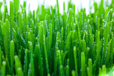 Similar image 1200095