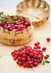 Similar image 1200114