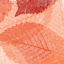 Similar image 1200168