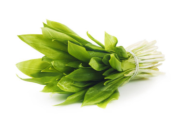 Similar image 1200246