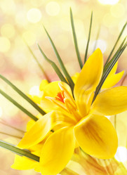 Similar image 1200250