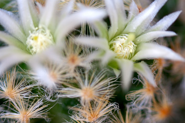 Similar image 1200258