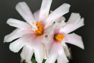 Similar image 1200259