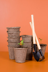 Similar image 1200428