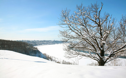 Similar image 1200431