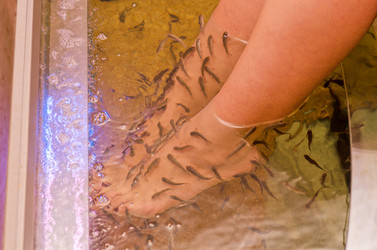 Similar image 1200667