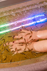 Similar image 1200669