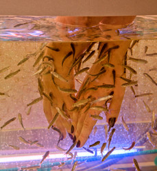 Similar image 1200694