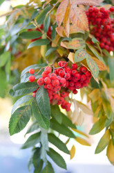 Similar image 1200752