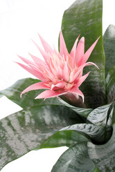 Similar image 1202084