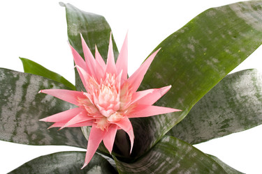 Similar image 1202085