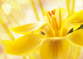 Similar image 1202101