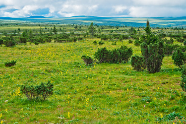 Similar image 1202152