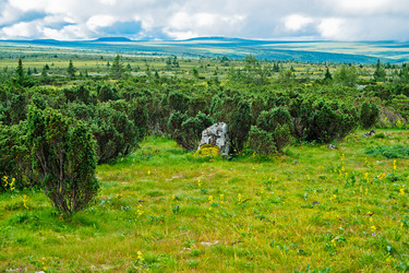 Similar image 1202153