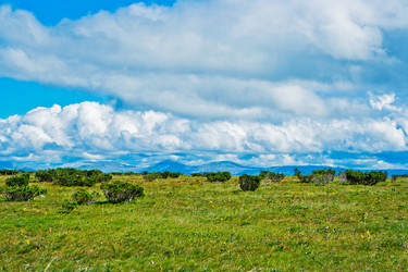 Similar image 1202154