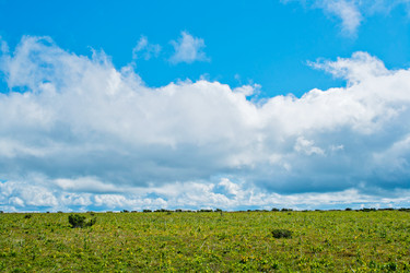 Similar image 1202155