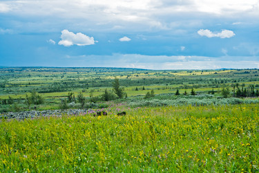 Similar image 1202156