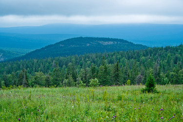 Similar image 1202162