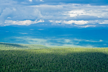 Similar image 1202163