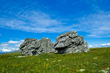 Similar image 1202165