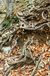 Similar image 1202331