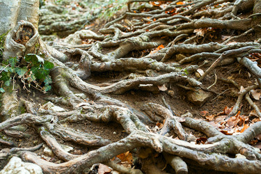 Similar image 1202332