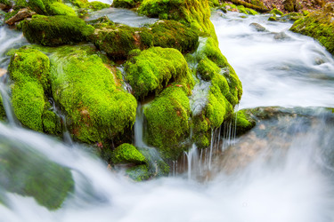 Similar image 1202334