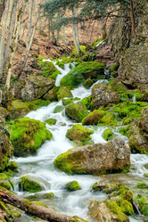 Similar image 1202335