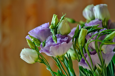 Similar image 1202392