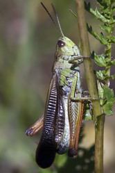 Similar image 1202394