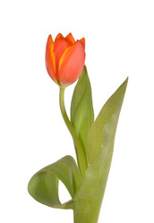 Similar image 1202667