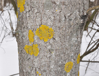 Similar image 1202824