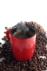 Similar image 1202840