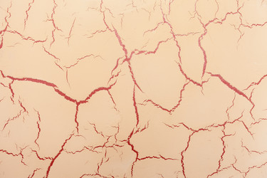 Similar image 1202852