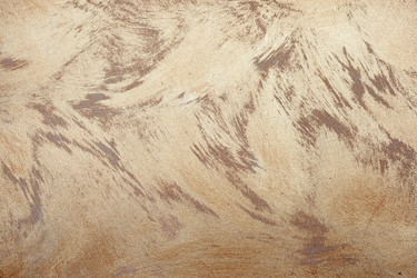 Similar image 1202865