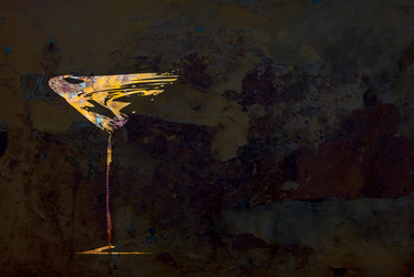 Similar image 1202887